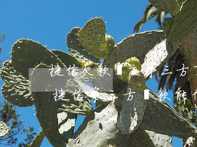 捷信欠款轉交第三方了我怎么還款。(捷信第三方還款能信嗎)